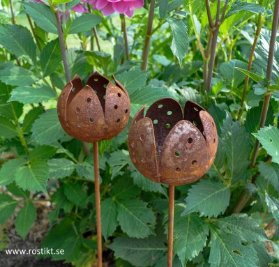 marschallhållare-värlejus-värmeljushållare-ros